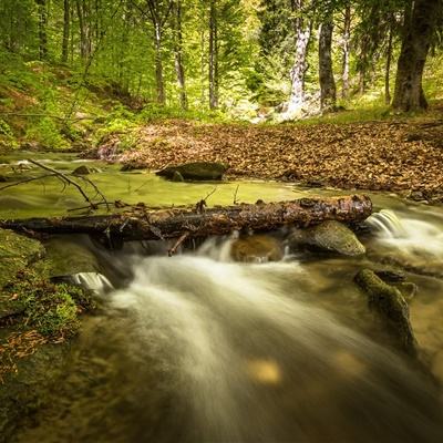 快盈lV购彩大厅手机app下载